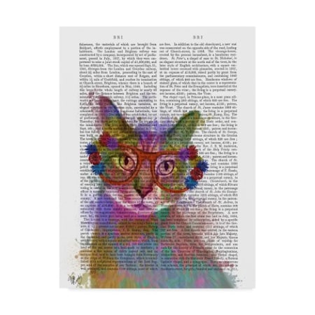 Fab Funky 'Rainbow Splash Text Cat 1' Canvas Art,14x19